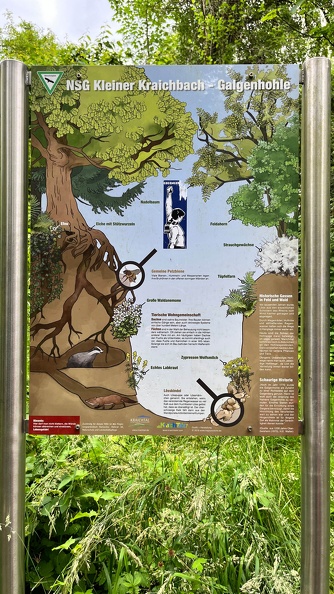 22-06-06 14-12-14 1070.jpeg